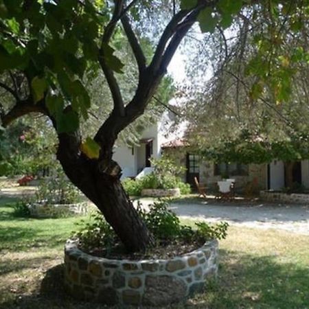 Traditionelles Appartement Athos Shadow Am Meer Paralia Sikias Exterior foto