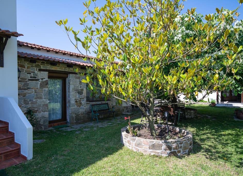 Traditionelles Appartement Athos Shadow Am Meer Paralia Sikias Exterior foto