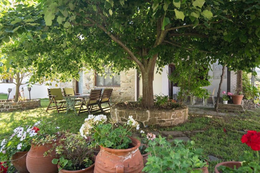 Traditionelles Appartement Athos Shadow Am Meer Paralia Sikias Exterior foto